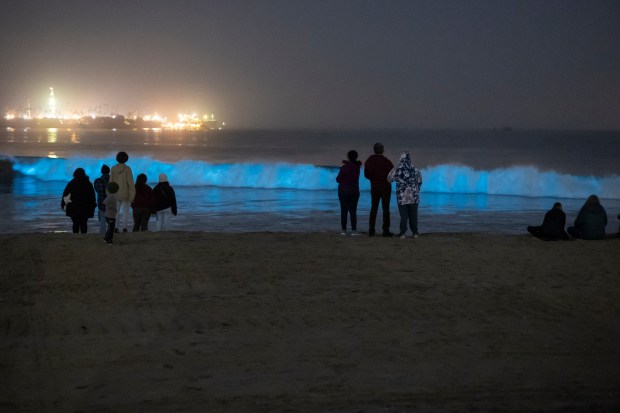 Bioluminescent waves in Long Beach made a rare appearance during the big-swell event on Dec. 28, 2023, making the surf glow neon blue. (Photo courtesy of Mark Girardeau/ Orange County Outdoors)