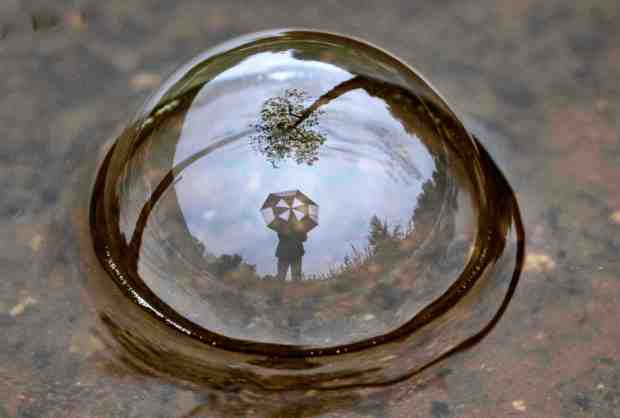 An umbrella and a sycamore tree are reflected in a bubble in a puddle at Irvine Regional Park in Orange as another winter storm brought more rain to Orange County and Southern California on Friday, March 10, 2023.(Photo by Mark Rightmire, Orange County Register/SCNG)