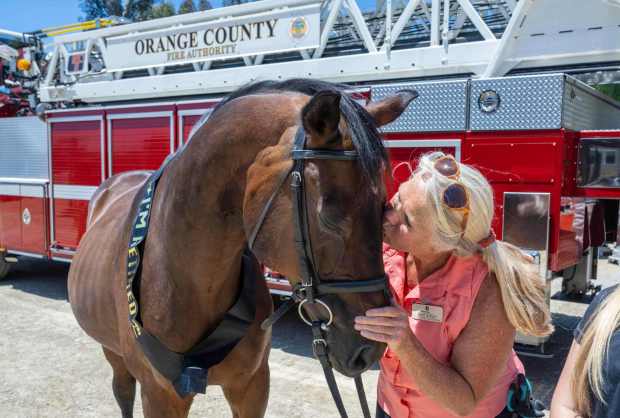 Heidi Knight, a staff member at the Shea Center in San Juan Capistrano, gives Choco, a therapy horse, a kiss during a retirement farewell gathering at the Shea Center in San Juan Capistrano on Friday, July 7, 2023. Choco was rescued in July 2021 by members of Orange County Fire Authority from Station 56 in Rancho Mission Viejo, after he fell into a ravine and is being retired and leaving to a ranch in Fallbrook. (Photo by Mark Rightmire, Orange County Register/SCNG)