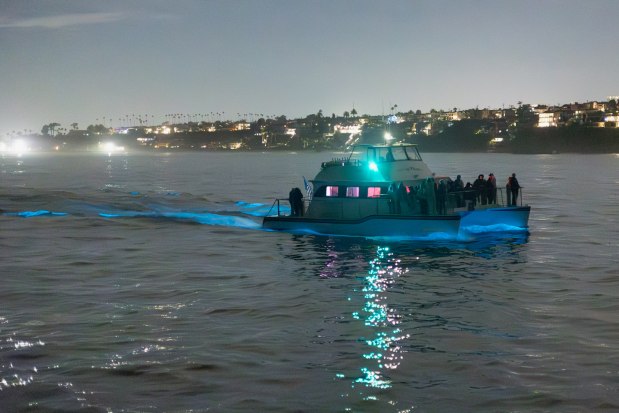 Bioluminescent boat tours in Newport Beach will head out to try and find areas where the ocean is glowing, but it's unknown how long it will stick around. (Photo courtesy of Mark Girardeau/Orange County Outdoors)