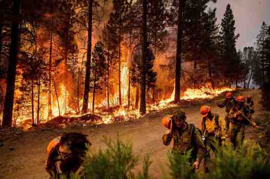 Firefighters use their helmets to shield themselves from backfire, flames lit by firefighters to burn off vegetation, while battling the Mosquito Fire in El Dorado County on Sept. 9, 2022. (AP Photo/Noah Berger)
