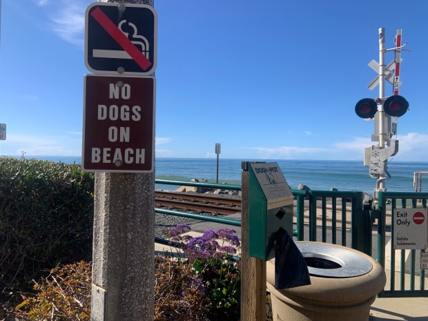City officials in San Clemente will be once again be discussing allowing a section of beach open to dogs on leash, during morning hours, in North Beach. (Photo by Laylan Connelly/SCNG)
